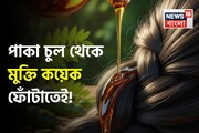 এই তেল পাকা চুলের মহাযম! খুশকি থেকে মুক্তি কয়েক ফোঁটাতেই! ১ মাসেই গ্যারান্টি উপকার