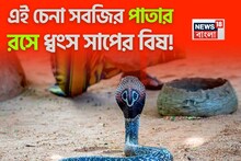 সাপ ছোবল দিয়েছে? চেনা সবজির পাতার রস দিন ক্ষতস্থানে! ছড়াবে না বিষ! বিষ ধ্বংসী প্রতিষেধক