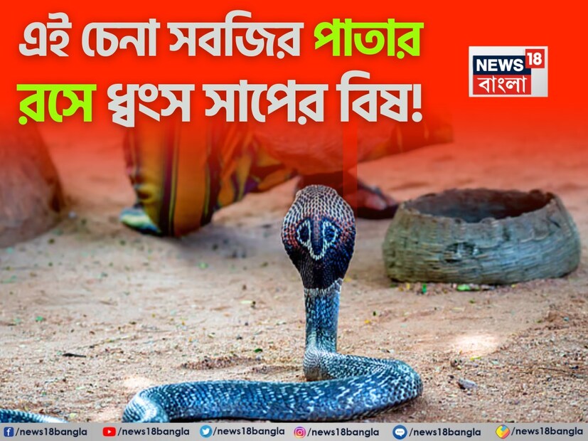 বর্ষাকালে, গ্রাম, খামার এবং বনে বসবাসকারী মানুষ প্রায়ই সাপকে ভয় পান। হঠাৎ করেই কোথাও সাপ দেখা দেয় এবং দুর্ভাগ্যবশত যদি এটি কামড়ায়, তাহলে পরিস্থিতি গুরুতর হয়ে ওঠে। এমন পরিস্থিতিতে, লোকেরা প্রায়ই ঘরোয়া প্রতিকারের আশ্রয় নেয়, তবে এই প্রতিকারগুলির মধ্যে একটি উদ্ভিদ রয়েছে যা আয়ুর্বেদ থেকে শুরু করে বৈজ্ঞানিক গবেষণা পর্যন্ত স্বীকৃত-এর নাম কাঁকরোল।