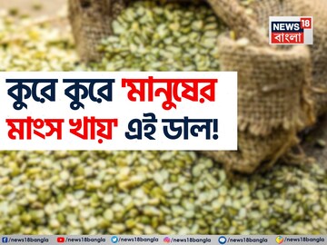 এই ডাল পেটে গেলেই কুরে কুরে মানুষের ‘মাংস খায়’! ঝাঁঝরা হয়ে যায় সব অঙ্গপ্রত্যঙ্গ? জানুন