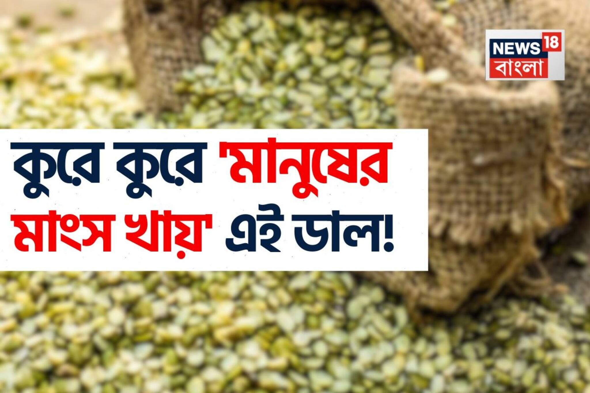এই ডাল পেটে গেলেই কুরে কুরে মানুষের ‘মাংস খায়’! ঝাঁঝরা হয়ে যায় সব অঙ্গপ্রত্যঙ্গ? জানুন