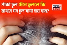 পাকা চুল হাত দিয়ে টেনে তুললে কি পুরো মাথা সাদা হয়ে যায়? মাথা হয় শনের নুড়ি? জেনে নিন