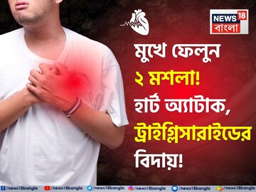 মুখে ফেলুন ২ মশলা! শরীর ছেঁচে দূর বদ কোলেস্টেরল! হৃদরোগ, ট্রাইগ্লিসারাইডকে টাটা বাই বাই