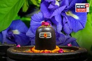 'নীল অপরাজিতা'-ই খুলবে পোড়া কপাল..! শ্রাবণে দেবাদিদেব মহাদেবকে এভাবে নিবেদন করুন 'এই' ফুল