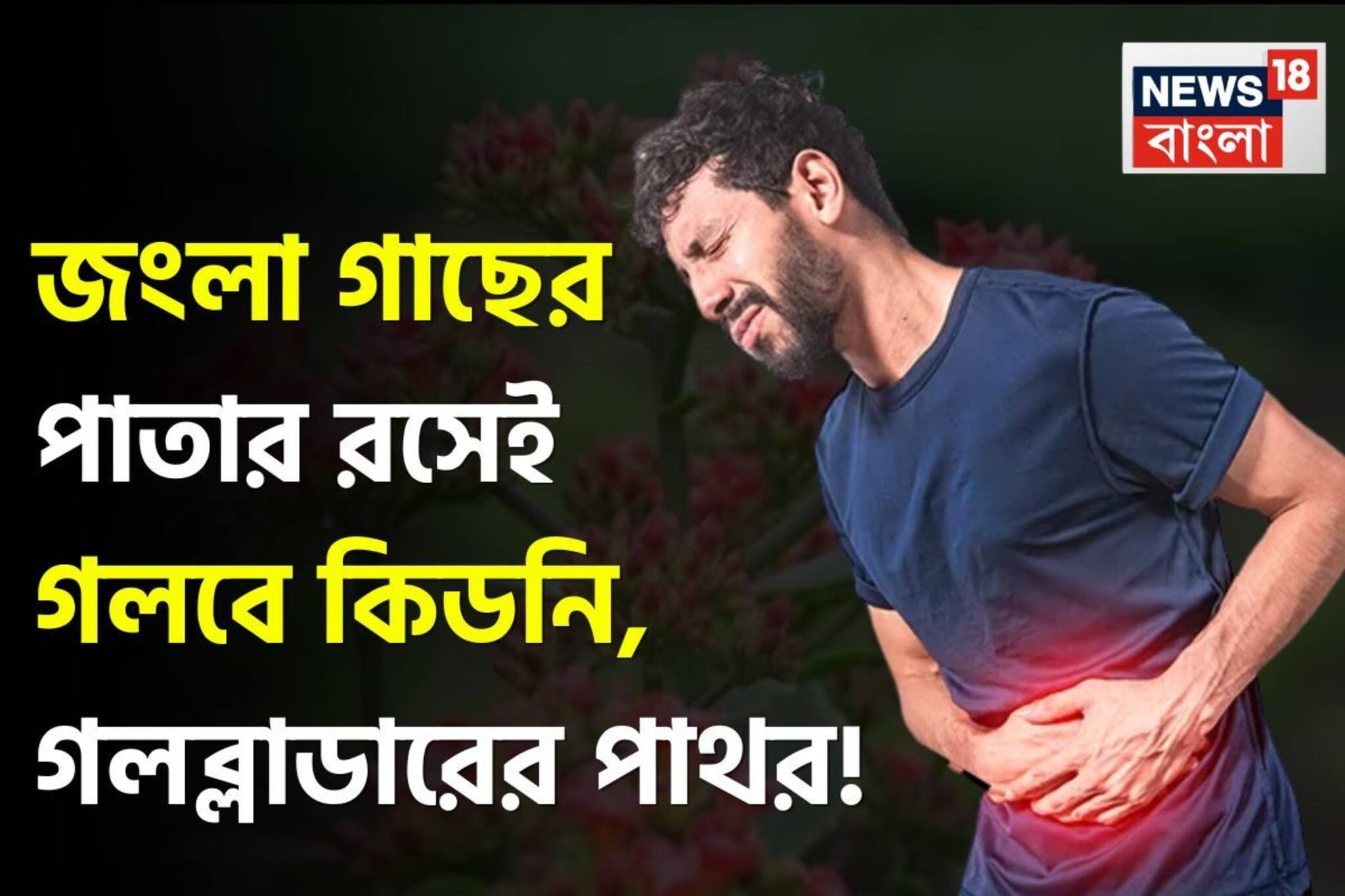 এই বুনো গাছের পাতাতেই বালির মতো গলবে কিডনির পাথর, গলস্টোন ! বেরিয়ে যাবে প্রস্রাবের সঙ্গে