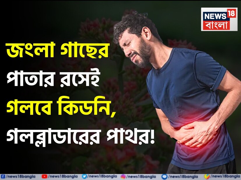 ভারতে একটি অনন্য উদ্ভিদ পাওয়া যায়, এই উদ্ভিদটি অনেক রোগের জন্য একটি ঔষধ। আপনি সহজেই বাড়িতে এই উদ্ভিদটি চাষ করতে পারেন। পাথরচাট্টা বা পাথরকুচির পাতা খেলে অনেক রোগ নিরাময় হয়। সবচেয়ে বিশেষ বিষয় হল পাথরচাট্টা একটি চিরহরিৎ উদ্ভিদ, যা সহজেই একটি টবে জন্মানো যায়।