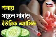 রোজ ১টা ‘শসা’! ‘এভাবে’ খেলেই সমূলে সাবাড় ইউরিক অ্যাসিড! সস্তায় মুক্তি গাঁটের ব্যথা থেকে