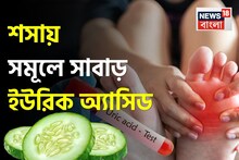 রোজ ১টা ‘শসা’! ‘এভাবে’ খেলেই সমূলে সাবাড় ইউরিক অ্যাসিড! সস্তায় মুক্তি গাঁটের ব্যথা থেকে