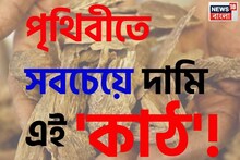 সোনা না, রুপো না...! পৃথিবীতে আরও বেশি 'দামি' এই 'কাঠ', চন্দন নয়, চমকাবেন নামেই!
