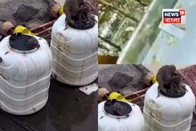 স্টেশন থেকে চা খান? জল খান? কী চলে যাচ্ছে পেটে জানেন? যা ধরা পড়ল... দেখে গা গুলিয়ে উঠব!
