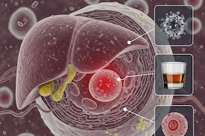 ফ্যাটি লিভার থাকেলে শিগগিরই পাতে রাখুন  ৮ জিনিস... লিভার সুস্থ রাখতে  চিকিৎসকের কথা শুনুন