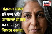 নারকেল তেলে ‘এই ফল’ মেশান জাস্ট ২ টো! মাথার সব সাদা চুল নিমেষে কালো! গ্যারান্টি!
