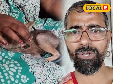 বিশ্বনাথ