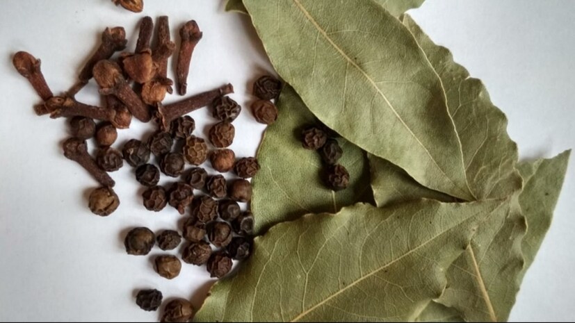 তেজপাতা এবং লবঙ্গ: ন্যাচারাল কার এয়ার ফ্রেশনার ঘরের সহজলভ্য জিনিস দিয়েই বানিয়ে নেওয়া যেতে পারে। একটি কাপড়ের ব্যাগে কিছু তেজপাতা এবং ৪-৫টি লবঙ্গ রেখে রিয়ার মিররে কাছে ঝুলিয়ে দিতে হবে। এই টোটকা ব্যবহারের ফলে হালকা অথচ প্রাকৃতিক সুবাস গাড়ির ভিতরে ছড়িয়ে পড়বে এবং দুর্গন্ধ থেকে মুক্তি পাওয়া যাবে।