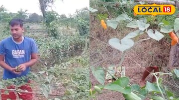 অতিবৃষ্টির