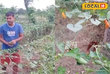 টানা বৃষ্টি, মাঠে পচছে ফসল, বাজারেও মিলছে না সুরাহা! কঠিন পরিস্থিতিতে অন্নদাতারা,কী যে হবে