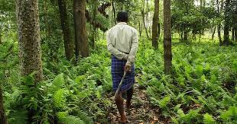  ৯ বনাঞ্চলে অধিকারের শংসাপত্র<br />১০ রাজ্য সরকারের বা স্থানীয় প্রশাসনের তৈরি করা পারিবারিক 'রেজিস্টার'।