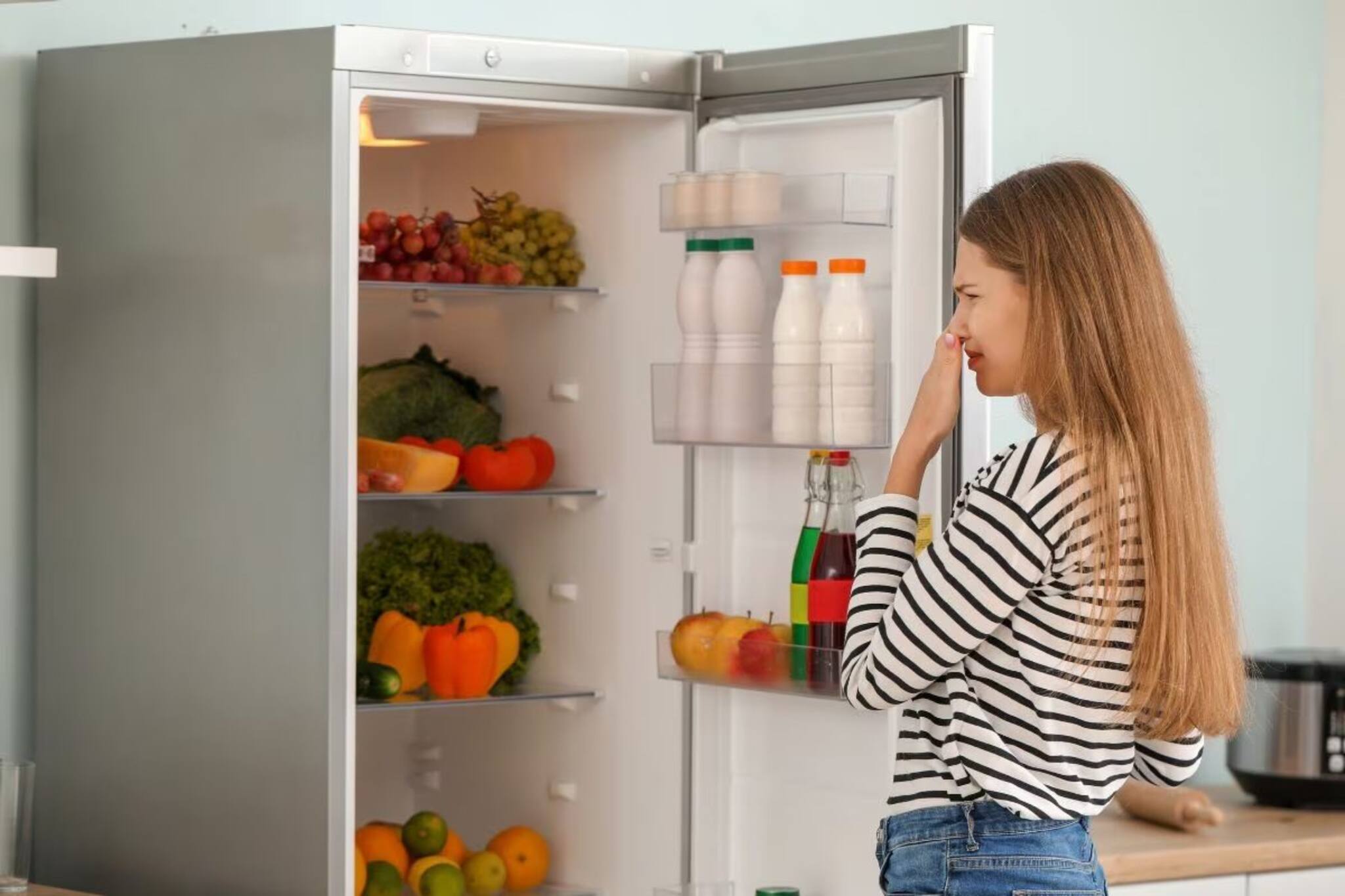 বর্ষায় ফ্রিজ খুললেই নাকে হাত চাপা দিতে হচ্ছে? ঘরোয়া টোটকায় দূর করুন পচা গন্ধ