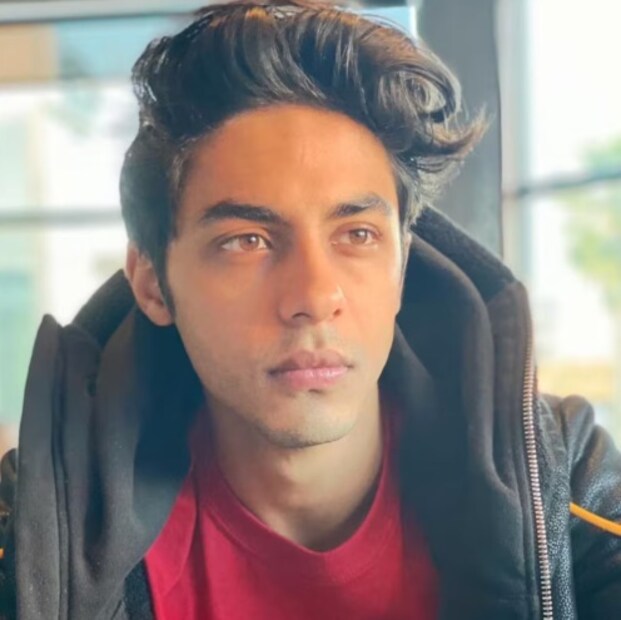 বলা হচ্ছে যে আরিয়ানের ওয়েব সিরিজের নাম হবে 'বলিউডের ব্যাড অ্যাস'। এটি একটি কাল্পনিক গল্প হবে, যেখানে সিনেমার পেছনের গল্পগুলি দেখানো হবে। 