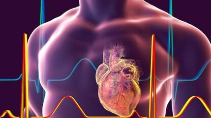 বড় সাফল্য বড় সাফল্য