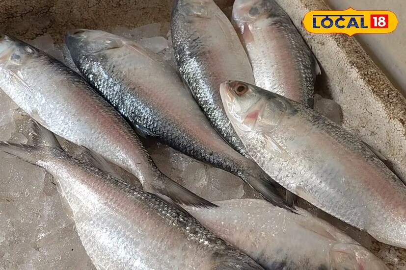 ডিম ছাড়া ইলিশের চোখ ঝকঝকে থাকে। এর মানে হল যে মাছটি তাজা। ডিম ছাড়া ইলিশের নাক গোলাকার হয়। এর মানে হল যে মাছটি সম্পূর্ণভাবে পরিণত হয়েছে। এছাড়াও, আপনি যদি ইলিশের পেট টিপলে পায়ুপথের ছিদ্র দিয়ে ডিম বেরিয়ে আসে, তাহলে বুঝবেন যে ইলিশটি ডিম ছাড়া। 