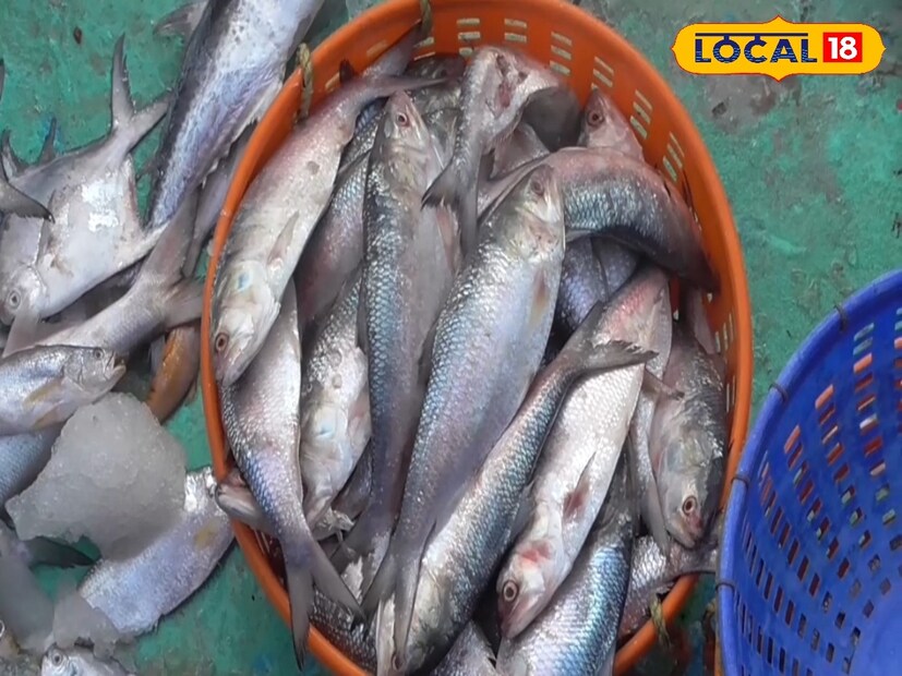 মনে করা হচ্ছিল এবার অবস্থার পরিবর্তন হতে পারে। এ নিয়ে মৎস্যজীবী সংগঠনের পক্ষ থেকে অলোক হালদার জানিয়েছেন, এবছর সব ধরণের মাছ আসছে। ফলে মৎস্যজীবীদের ক্ষতি তেমন একটা হচ্ছে না। 