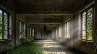 AI Generated representative image AI Generated representative image