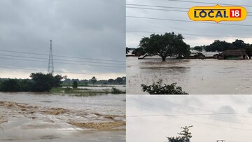 ভরতপুরের