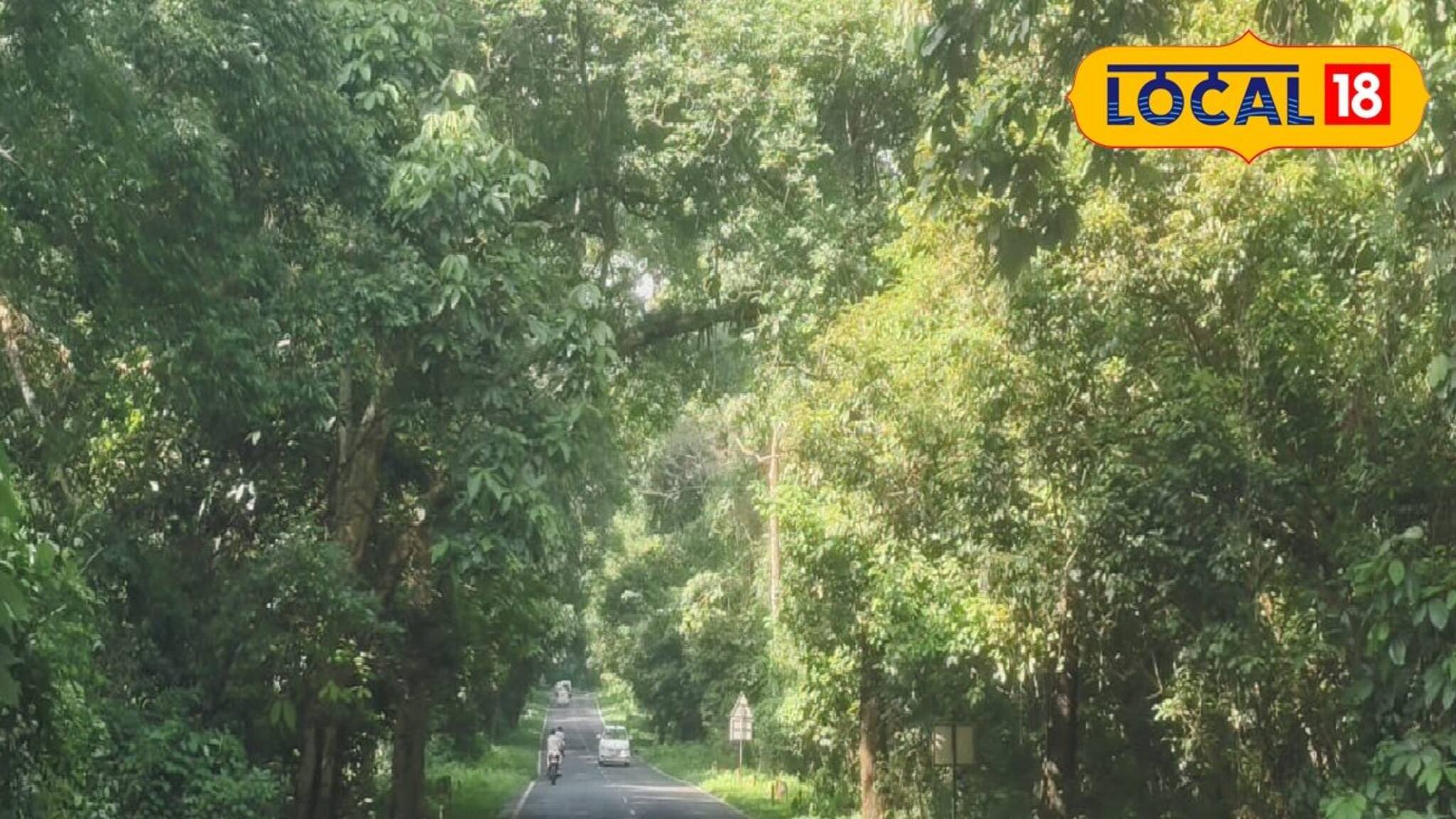 Jalpaiguri News: সুখবরের মাঝেই আশঙ্কা...! জাতীয় সড়কের সম্প্রসারণ, উন্নয়নের আনন্দ, আশঙ্কা কোথায় জানেন?