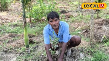 কমলালেবুর