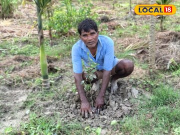 কমলালেবুর