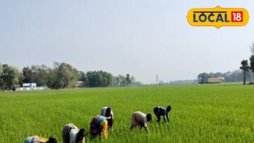 মেশিনের