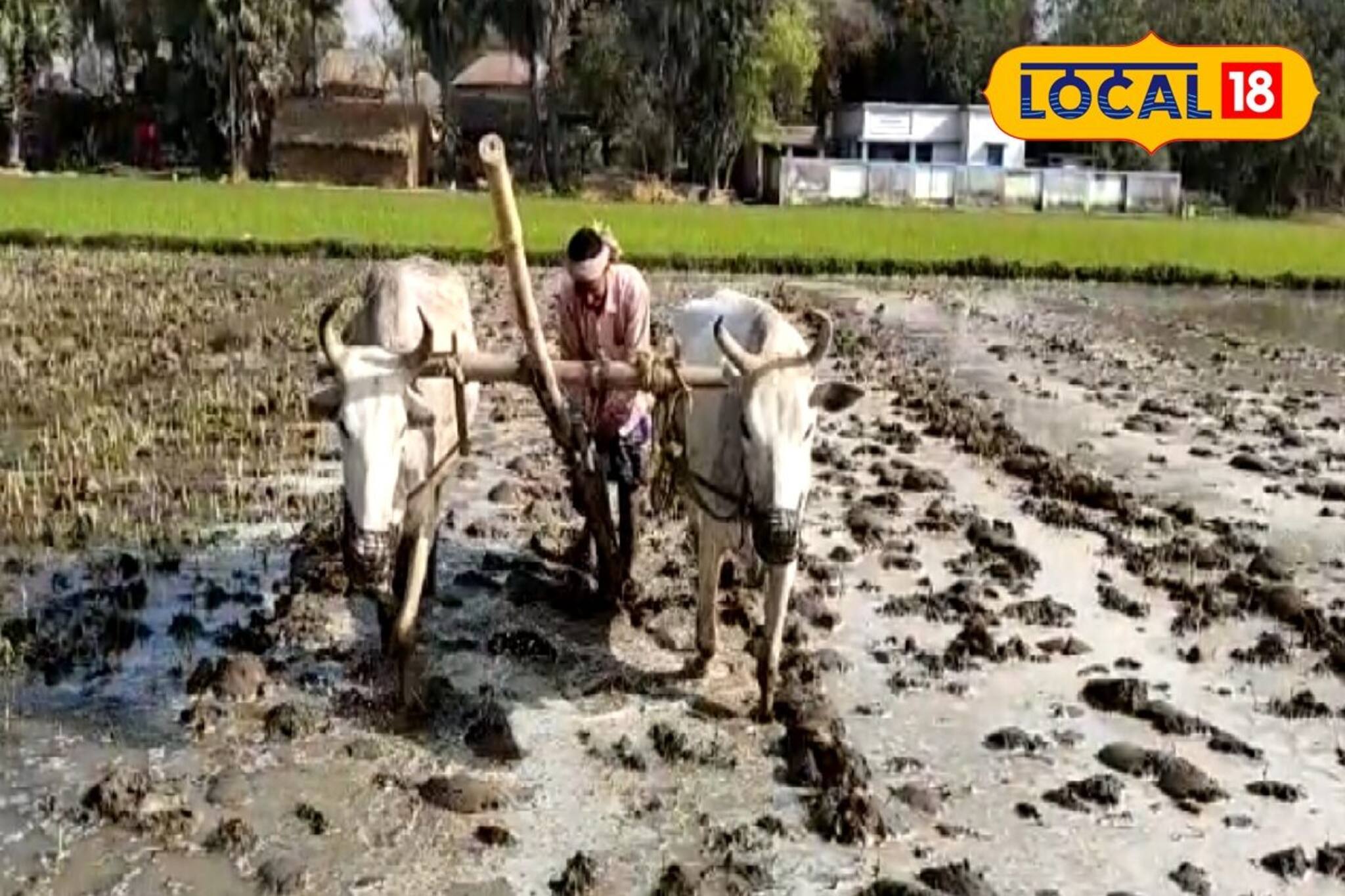 চাষের আকাশে রকেটের গতি, কষ্ট কমে বলদের...! এই জায়গায় বাজার কাঁপাচ্ছে 'রকেট লাঙল'