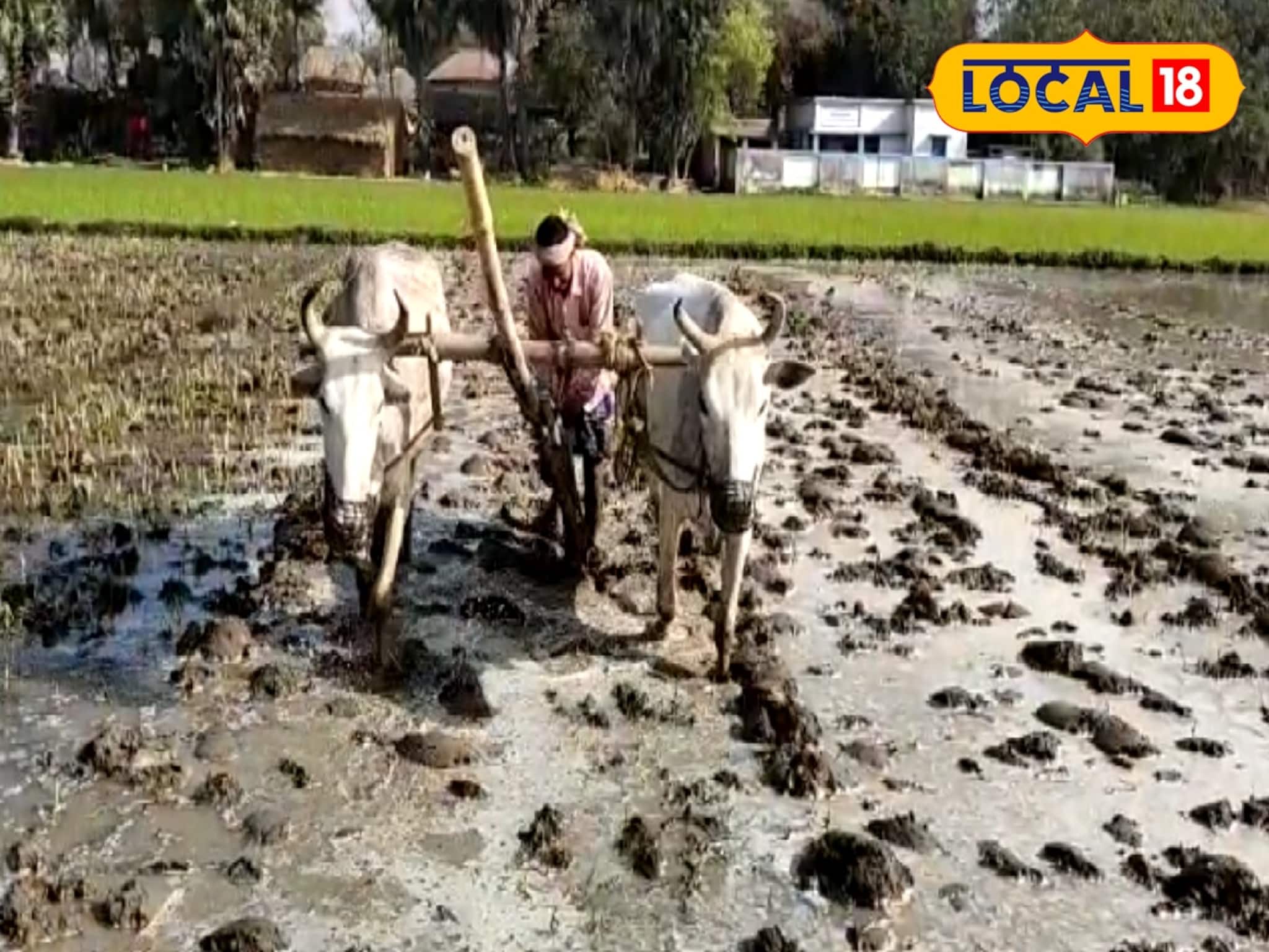 চাষের আকাশে রকেটের গতি, কষ্ট কমে বলদের...! এই জায়গায় বাজার কাঁপাচ্ছে 'রকেট লাঙল'