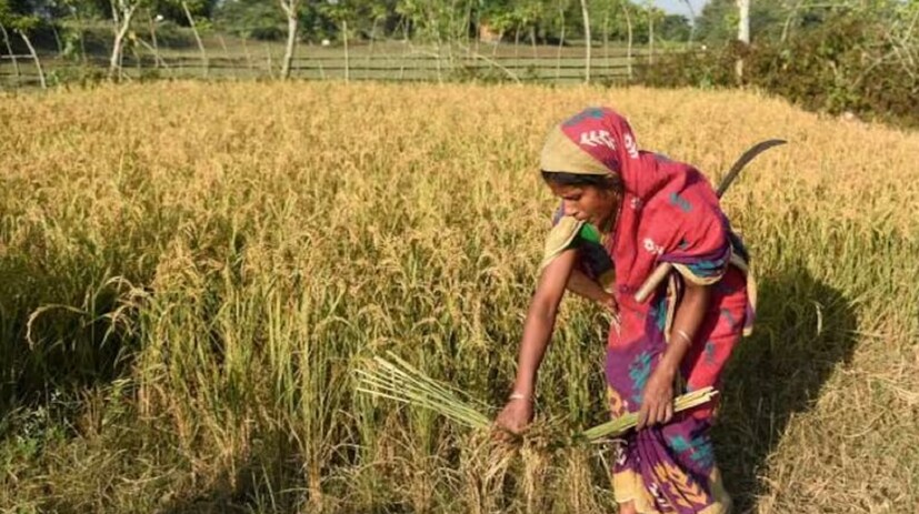 ৫. Pradhan Mantri Krishi Sinchayee Yojana (PMKSY)“প্রত্যেক ক্ষেতে জল” পৌঁছে দেওয়ার স্বপ্ন এই প্রকল্পের সঙ্গেই জড়িয়ে আছে। কৃষকদের ড্রিপ সিঞ্চাই, পুকুর নির্মাণ, খাল সংস্কার ও জল সংরক্ষণের কাজে আর্থিক সহায়তা দেওয়া হয়। বিশেষ করে সেইসব অঞ্চলে, যেখানে বর্ষাকালই একমাত্র ভরসা। এই প্রকল্পটি কৃষিকে জলসংকট থেকে রক্ষা করার জন্য অত্যন্ত গুরুত্বপূর্ণ।