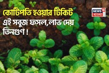 কোটিপতি হওয়ার টিকিট এই সবুজ ফসল, লাভ দেয় তিনগুণ !