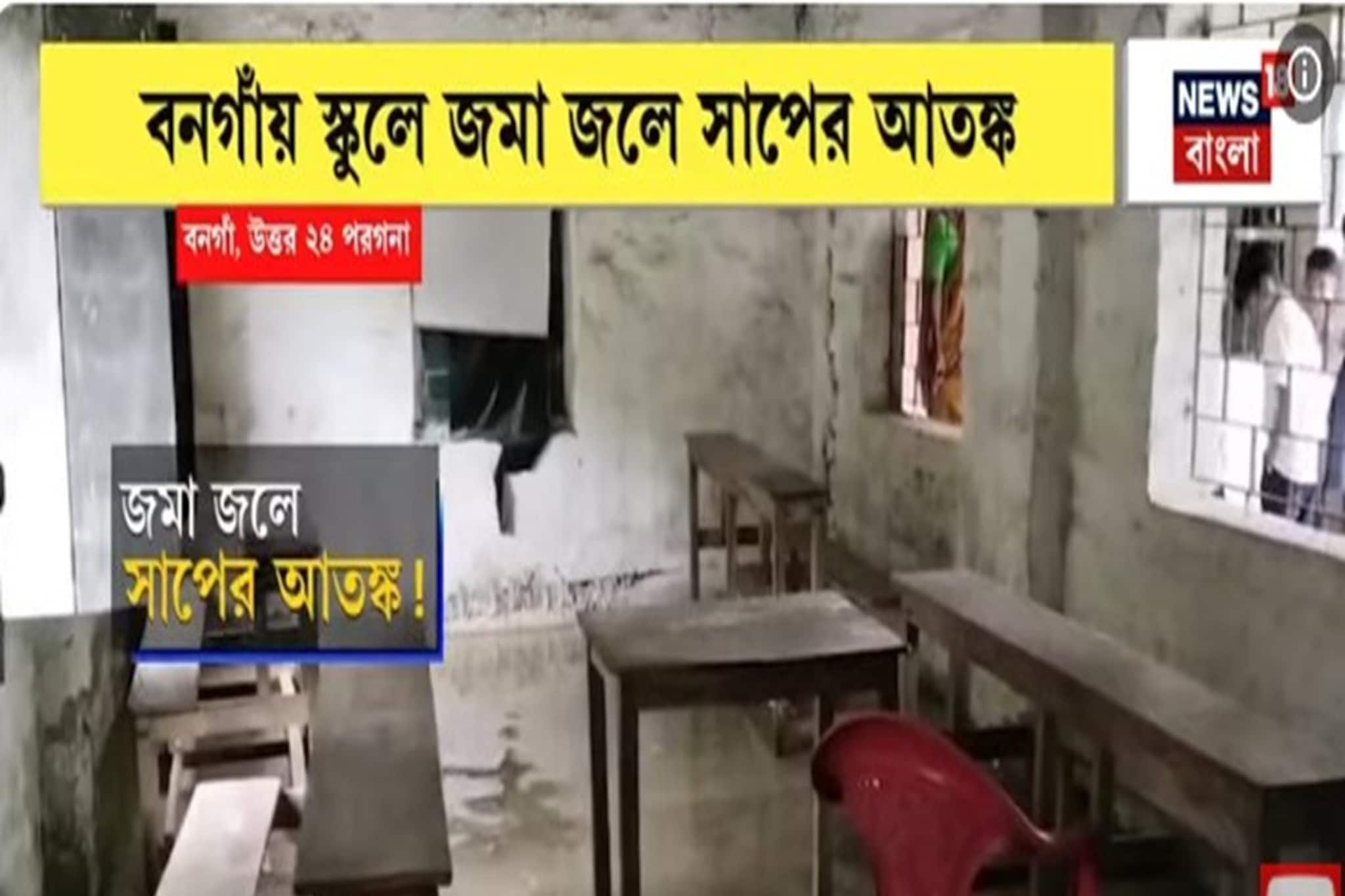 বনগাঁয় স্কুলে জমা জলে সাপের আতঙ্ক, জল ঢুকেছে মিড-ডে মিলের ঘরেও