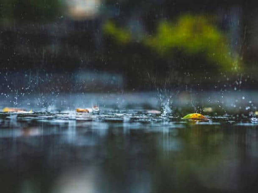 Weather Update: ঘূর্ণাবর্ত সঙ্গী নয়া নিম্নচাপ, ঝোড়ো দামাল হাওয়া উত্তর থেকে দক্ষিণে, হঠাৎ-হঠাৎ ভারী বৃষ্টি, ২৪ ঘণ্টায় বাড়বে দাপট Weather Update: ঘূর্ণাবর্ত সঙ্গী নয়া নিম্নচাপ, ঝোড়ো দামাল হাওয়া উত্তর থেকে দক্ষিণে, হঠাৎ-হঠাৎ ভারী বৃষ্টি, ২৪ ঘণ্টায় বাড়বে দাপট