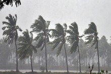 আগামী ২-৩ ঘণ্টায় ঝেঁপে বৃষ্টি! ঝড়ের তাণ্ডব কোন কোন জেলায়?