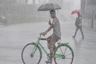 দু'ঘণ্টার মধ্যেই ঝেঁপে বৃষ্টি আসছে, ভাসবে তিন জেলা, সঙ্গে ৪০ কিমি বেগে ঝড়! সাবধান