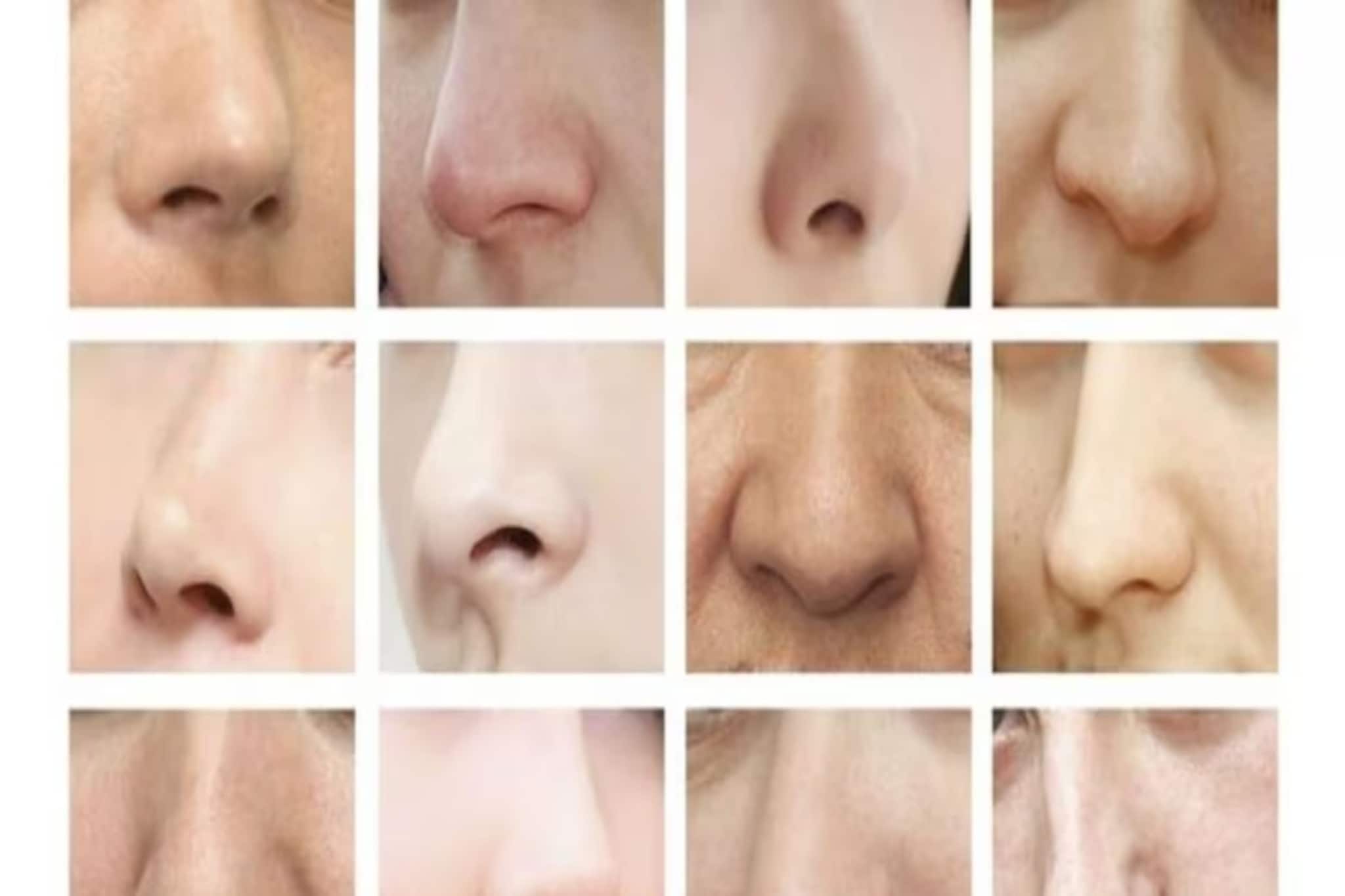 টিয়াপাখির ঠোঁটের মতো 'বাঁকা' নাকি 'খেঁদা'? নাকই বলে দেবে আপনি কেমন মানুষ, চিনে নিন চরিত্র!