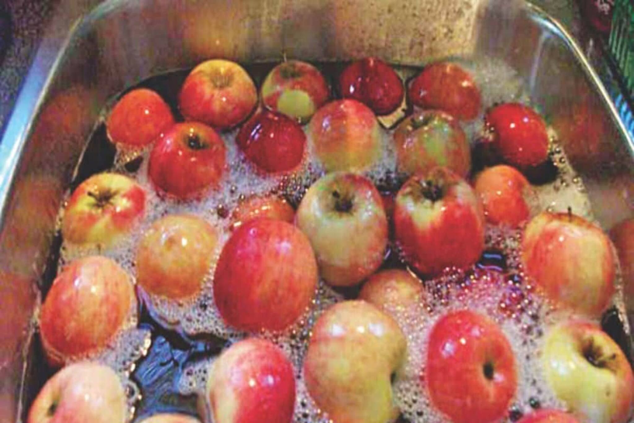 ভর্তি ভর্তি 'ফরমালিন'! এই ফল খাচ্ছেন না তো? পেটে গেলেই 'শেষ', এক 'চিমটি' দিয়ে দিন এই 'জিনি