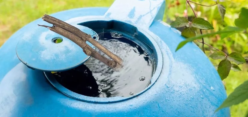 দীর্ঘদিন ব্যবহারের ফলে ট্যাঙ্কের ভিতর শ্যাওলা ও ব্যাকটেরিয়া জমে জলের সঙ্গে মিশে যায়। পরে সেই জল ফুটিয়ে খেলেও রোগের ঝুঁকি কিন্তু থেকে যায়।