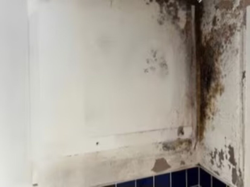 তুলসী কী ভাবে ব্যবহার করবেন?এই প্রতিকারটি অনুসরণ করা খুবই সহজ। প্রথমে, টাটকা তুলসী পাতা নিন এবং ধুয়ে আলতো করে শুকিয়ে নিন। এবার এই পাতাগুলি রান্নাঘরের সেই জায়গাগুলিতে রাখুন যেখানে আর্দ্রতা থাকে।