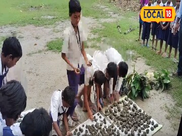 সিডবল