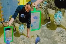 সাপের সামনে আয়না ধরলে কী হয়? ফোঁসফোঁসিয়ে নাগিন নিল 'আসল রূপ'! দেখলে ভিরমি খাবেন