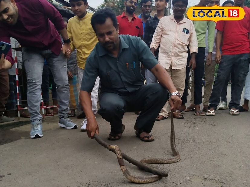 সাপে কাটার আশঙ্কা কমাতে মশারি অত্যন্ত উপকারী হতে পারে। মশারি থাকলে বাইরের কোনো প্রাণী বিছানায় উঠতে পারে না। পাশাপাশি, ঘুমানোর আগে বিছানার চাদর, বালিশ ও মশারি ভালোভাবে ঝেড়ে দেখে নিন যাতে কোনো লুকানো পোকা বা সাপ থেকে নিরাপদ থাকা যায়।