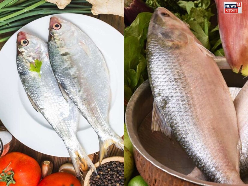কিন্তু অসাধু ব্যবসায়ীরা সার্ডিন বা চন্দনা মাছকে ইলিশ বলেই বিক্রি করছে। বাজার থেকে যদি সঠিক ভাবে না কিনতে পারেন ইলিশ মাছ তবে, টাকা তো নষ্ট হবে আবার মন খারাপও হবে।