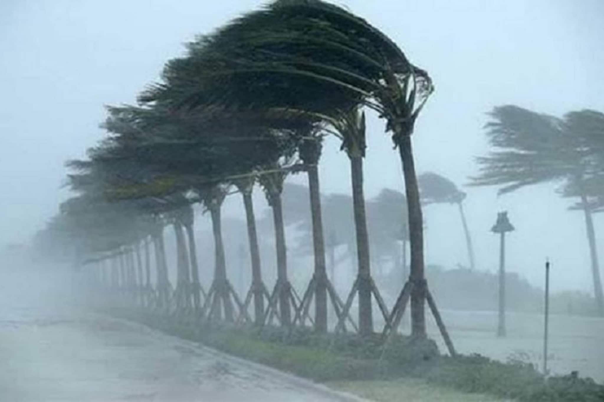 IMD Weather Alert: আগামী ২৪ ঘণ্টা আরও ভয়ঙ্কর...! তুলকালাম ঝড়-বৃষ্টিতে ভাসবে কলকাতা? রাজ্যে তুমুল দুর্যোগ, IMD দিল বড় আপডেট