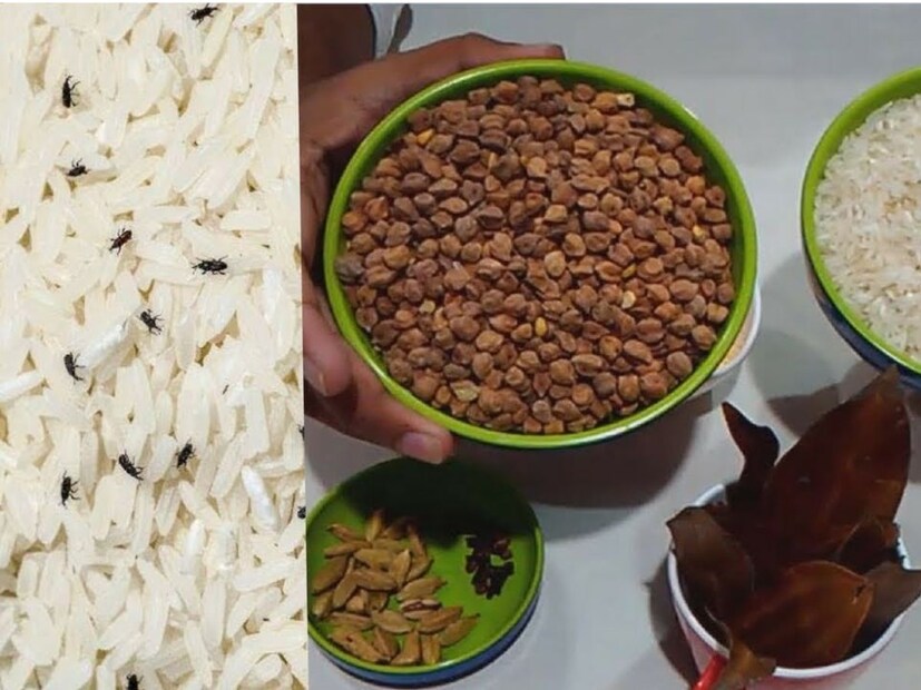 তাই, যদি আপনি চাল সম্পূর্ণ শুকিয়ে নেন এবং উপরের টিপসগুলি অনুসরণ করেন, তাহলে পোকামাকড়ের কোনও সমস্যা ছাড়াই আপনি এটি নিরাপদে সংরক্ষণ করতে পারবেন। (দাবিত্যাগ: এই নিবন্ধে প্রদত্ত তথ্য শুধুমাত্র ইন্টারনেটে সামাজিক তথ্য। News18 Telugu এটি যাচাই করেনি। এগুলি বাস্তবায়নের আগে অনুগ্রহ করে সংশ্লিষ্ট বিশেষজ্ঞদের সাথে পরামর্শ করুন) 